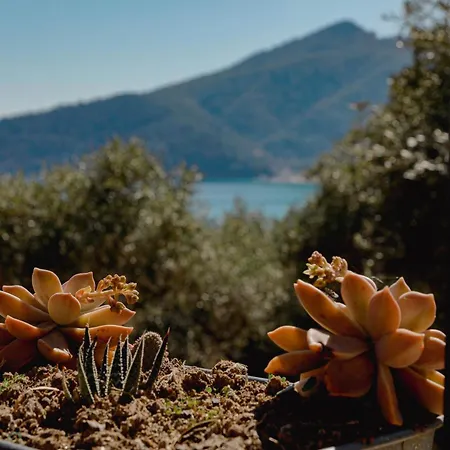 Ocean Breeze Lejlighed Chrisi Ammoudia