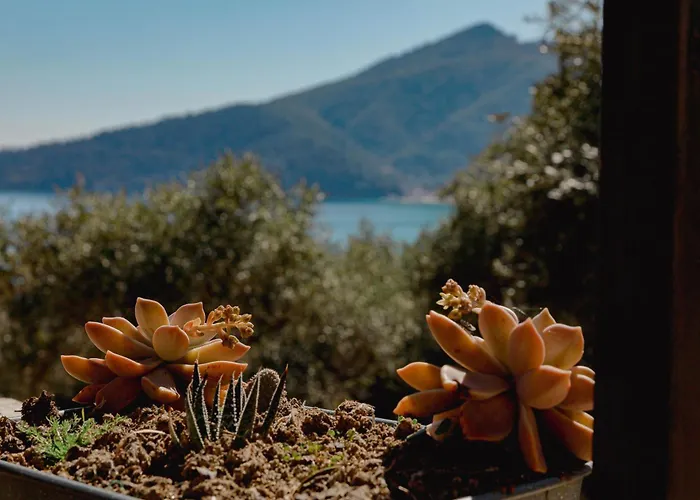 Ocean Breeze アパート クリッシ・アモウディア